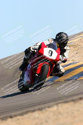 media/Feb-12-2022-SoCal Trackdays (Sat) [[3b21b94a56]]/Turn 12 (140pm)/